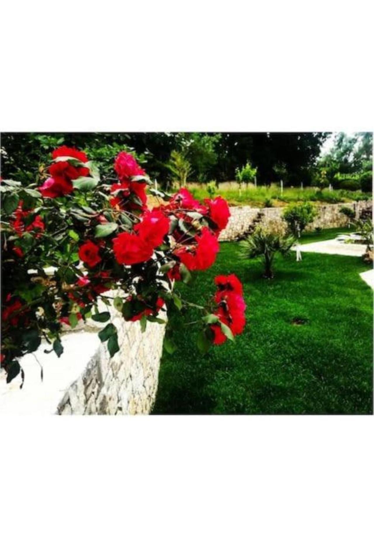 Petra House Villa Ano Korakiana Bagian luar foto
